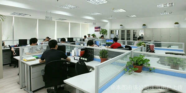 天津豆芽网络科技 推动本地数字经济发展的创新力量